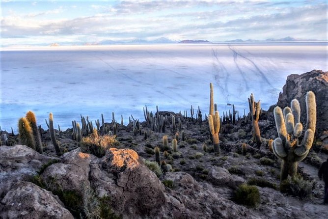 Salar De Uyuni (1 Day) – Spanish Speaking Guide