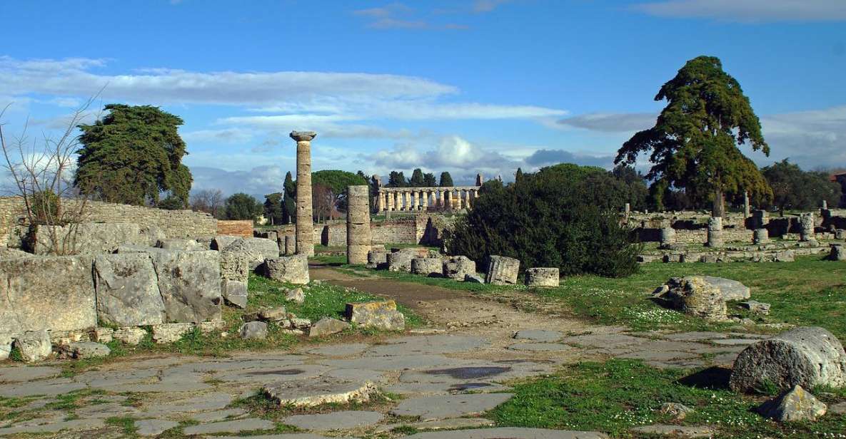 SALERNO: Guided Visit at Paestum Ruins and Museum