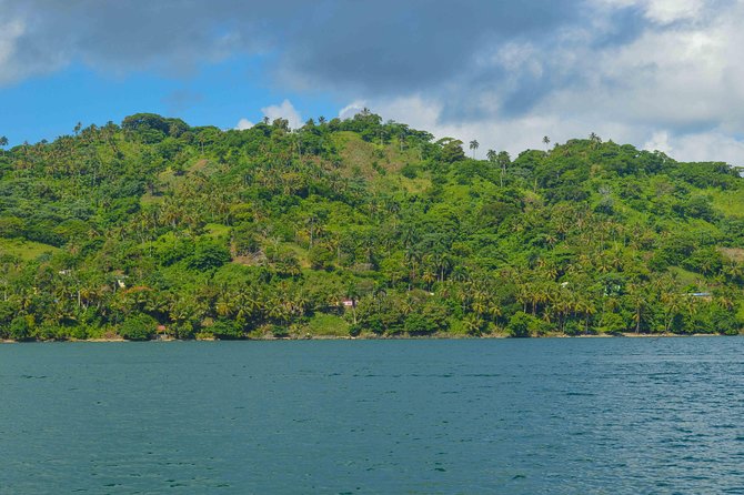 Samana Full-Day Tour With Whale Watching and Horse Riding - Whale Watching Experience