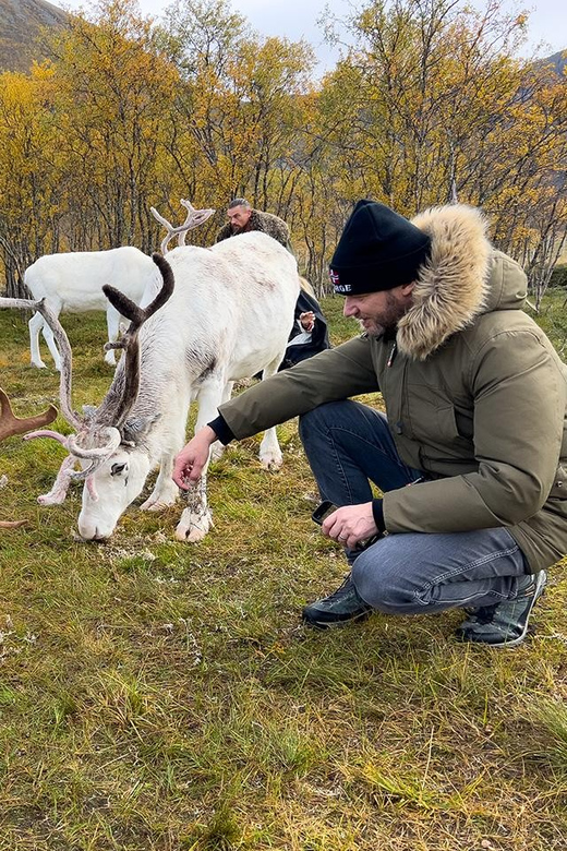 Sami Reindeer Experience