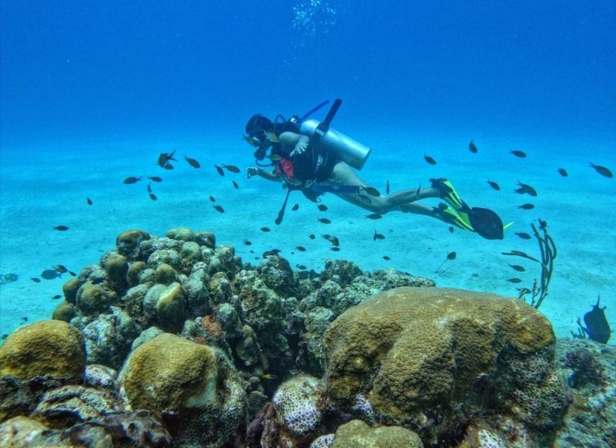 San Andrés Island: Personalized Mini Scuba Diving Course