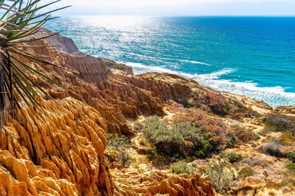 San Diego: Beaches & Bluffs Self-Guided Driving Tour