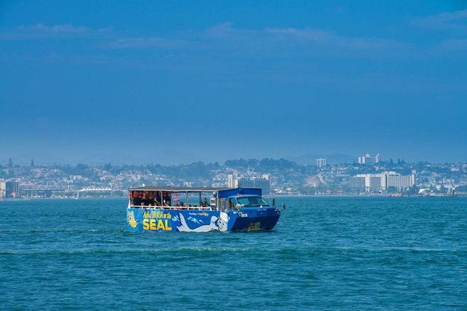 San Diego Shore Excursion: San Diego Seal Tour - Overview of the Tour