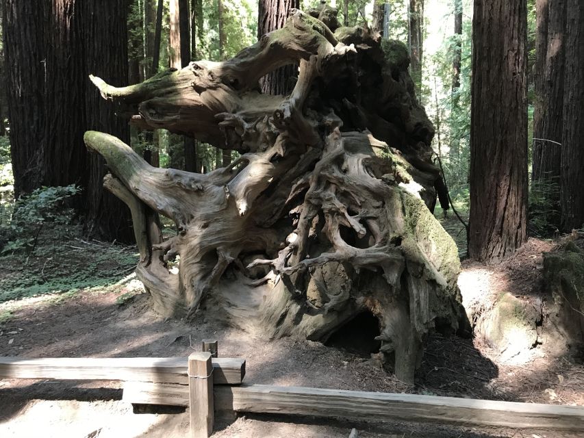 San Francisco: Private Muir Woods and Sausalito Tour - Tour Price and Duration