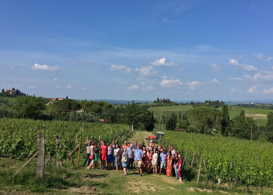 San Gimignano: Premium Wine Tour With Lunch