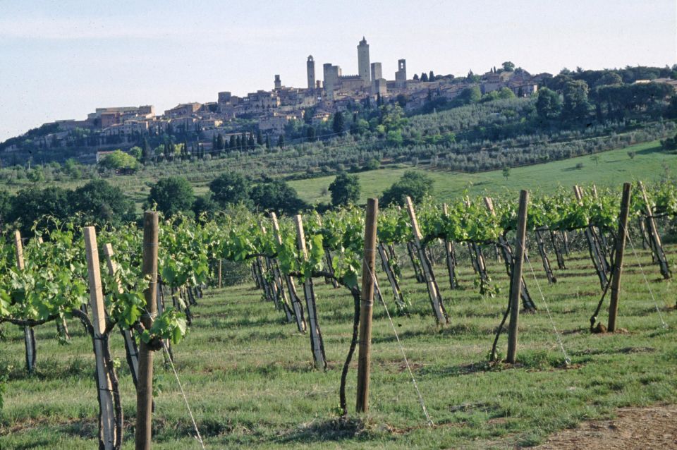 SAN GIMIGNANO: TASTING WITH A VIEW OF THE TOWERS