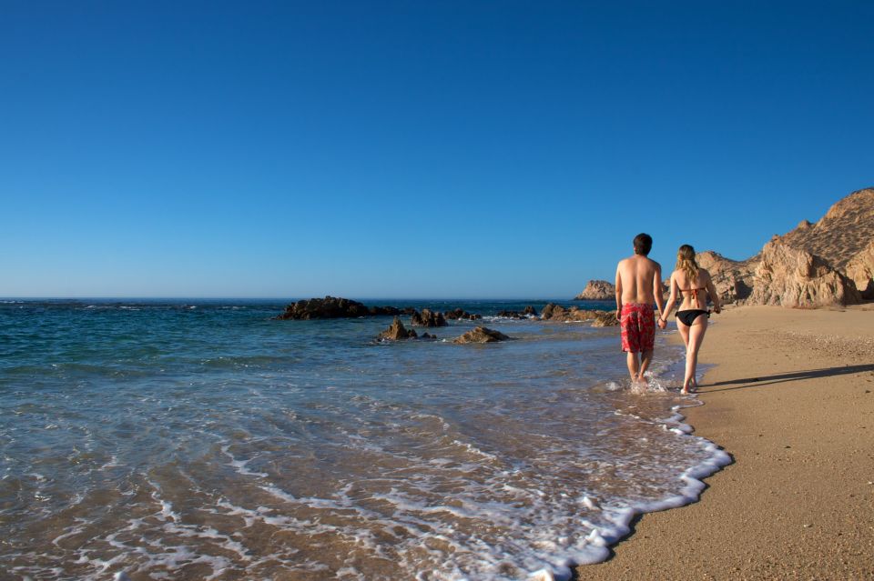 San Jose Del Cabo: City Tour & Palmilla Beach Visit - Highlights of the Tour