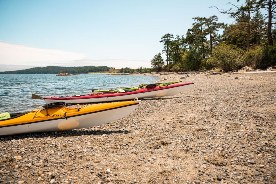 San Juan Island: 3-Hour Kayak Tour