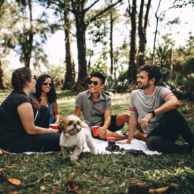 San Martín Park: Yoga Class and Mate