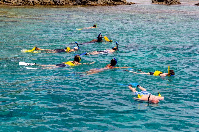 Sand Dollar Half Day Snorkel Trip