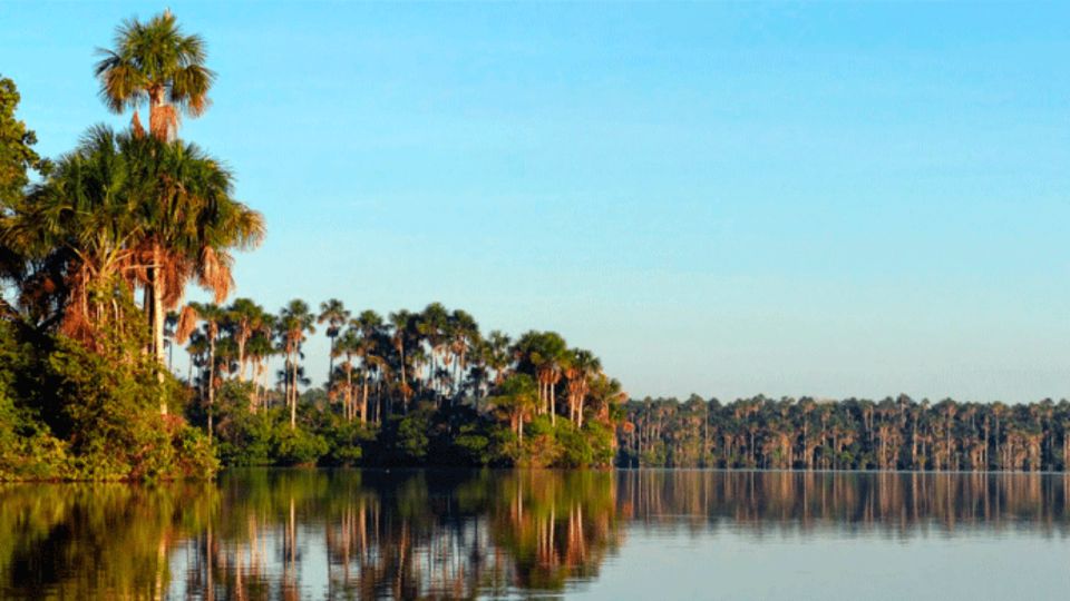 Sandoval Lake Tambopata 4 Days 3 Nights: Chuncho Macaw Clay