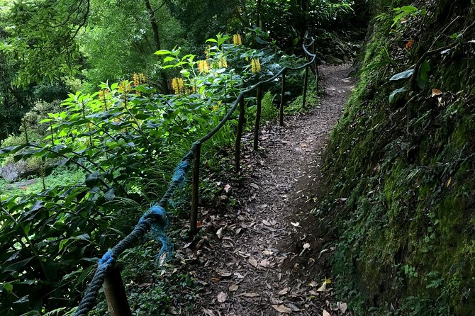 Sanguinho Hike From Ponta Delgada