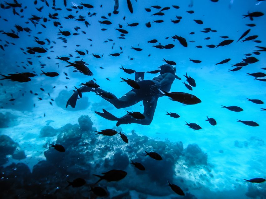 Santorini: Scuba Diving Experience for Beginners