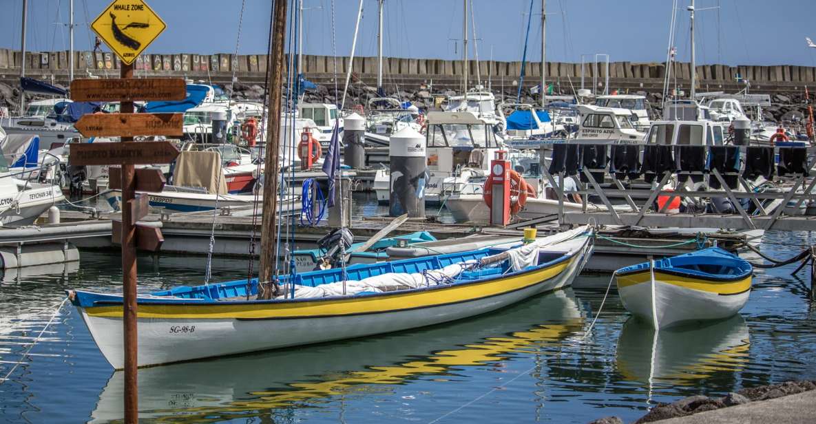 São Miguel: Azorean Whalers Heritage Tour