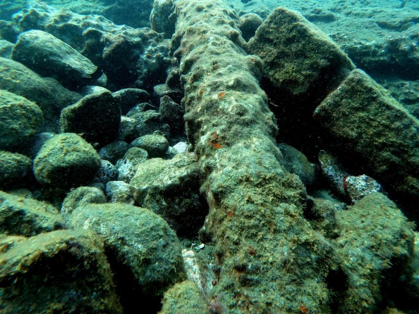 Sao Miguel: Snorkeling Around Vila Franca Do Campo