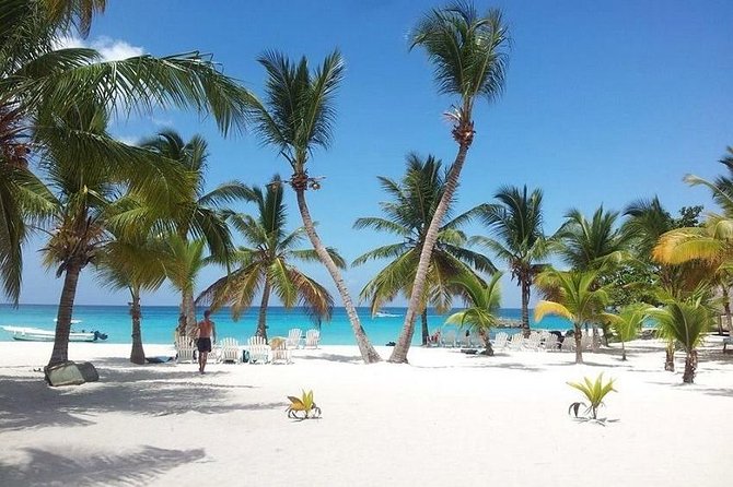 Saona Island Beach Day