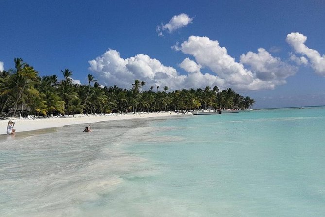 Saona Island Full Day - Itinerary and Activities