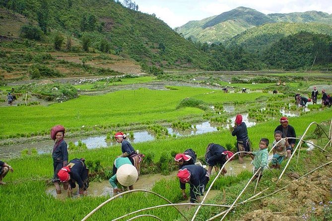 Sapa Real Experience 2 Days 1 Night at Local People House