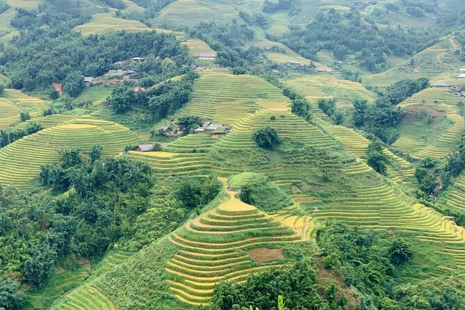 Sapa The Hidden Trail Trek 1 Day – Mountain & Rice Valley