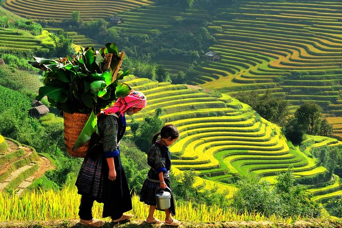 Sapa Trekking Tours – 2 Days 1 Night Stay At Homestay