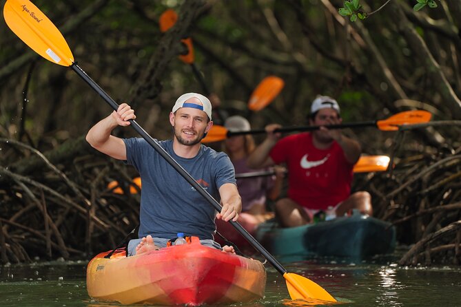 Sarasota Mangrove Tunnel Guided Kayak Adventure