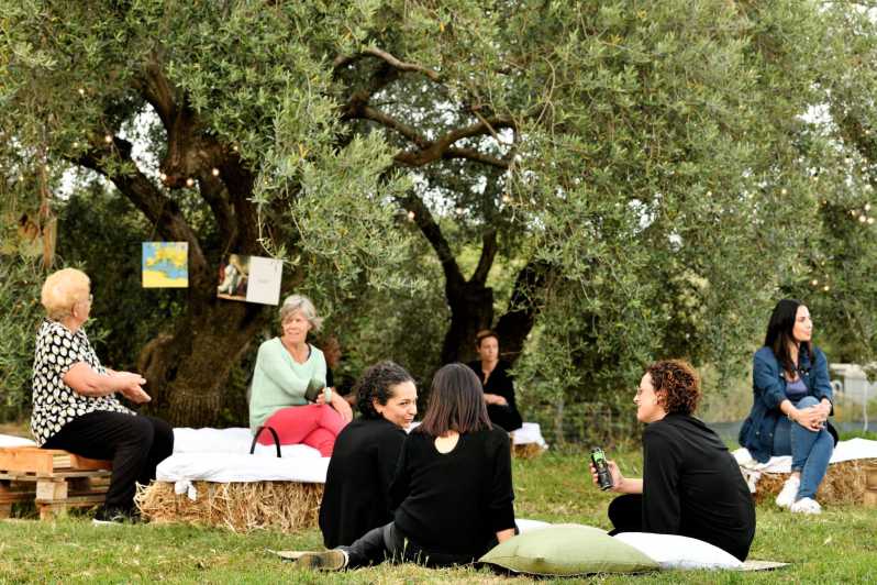 Sardinia: Tour in the World of Extra Virgin Olive Oil