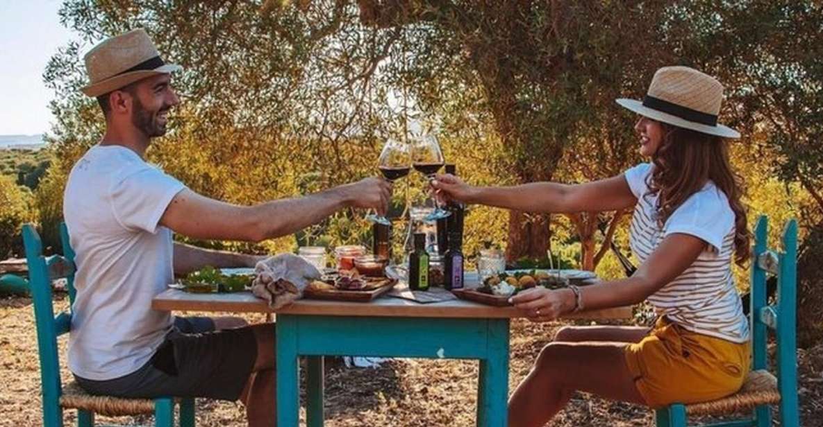 Sardinian Olive Oil Tasting & Picnic Among the Olive Trees