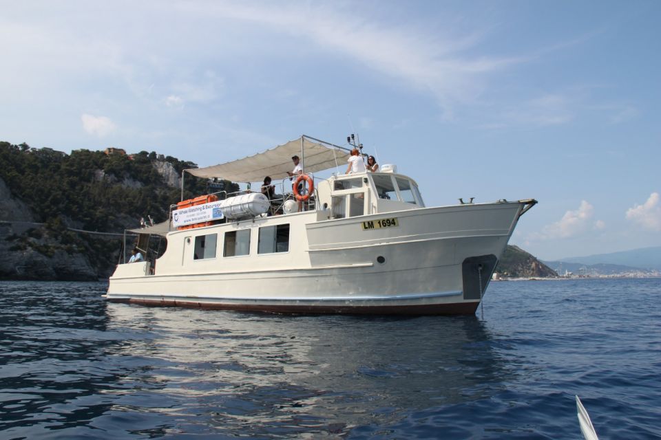 Savona: Pelagos Sanctuary Wildlife Cruise With Guide