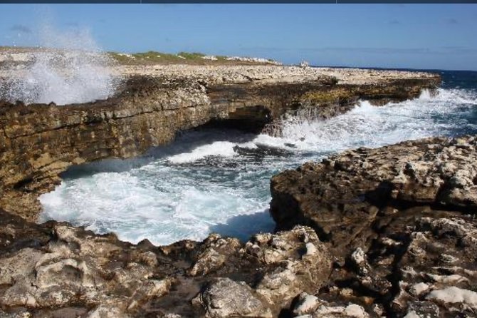 Scenic Full Day Tour of Antigua