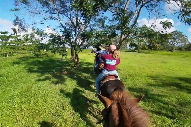 Scenic Horseback Riding Tour From San Juan
