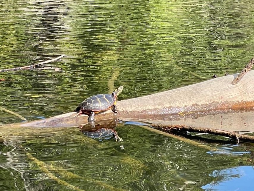 Scenic Sebago Lake Historical Tour - Tour Duration and Highlights