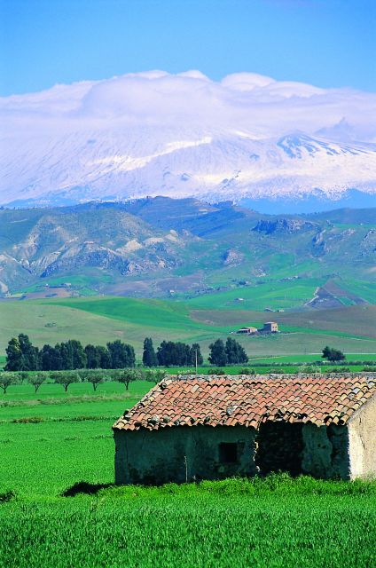 Scenic Tour of Etna Foot Hills and Alcantara Gorges