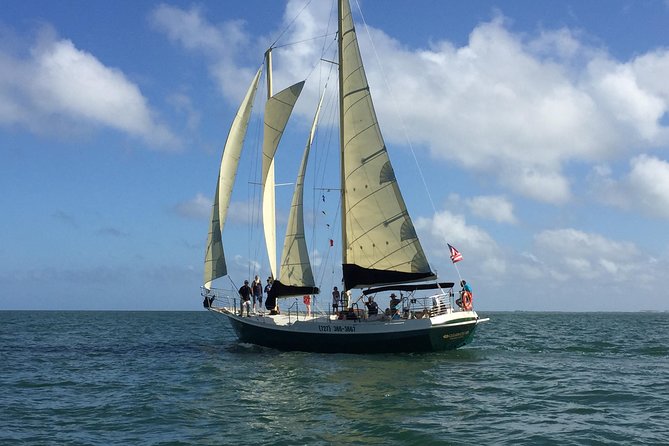 Schooner Clearwater- Afternoon Sailing Cruise-Clearwater Beach