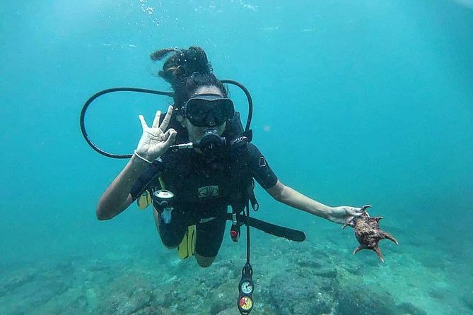 Scuba Diving at Unawatuna