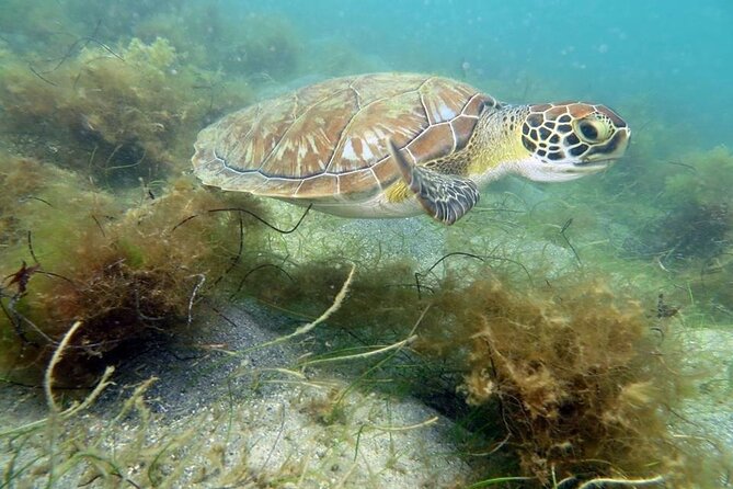 Scuba Diving for Beginners at San Juan