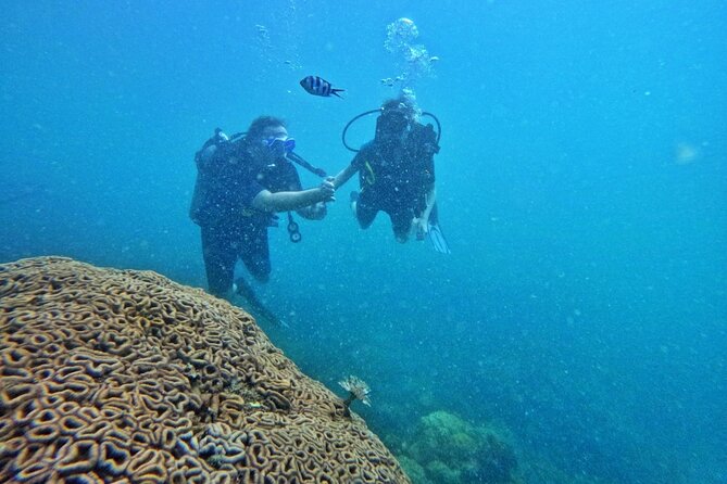 SCUBA DIVING OPTION For Beginners in Phu Quoc Island