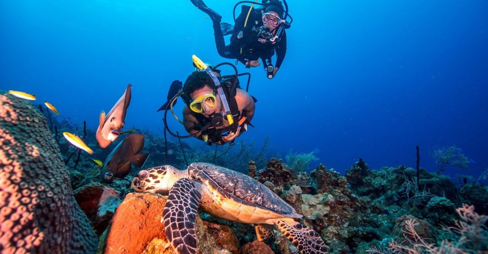 Scuba Diving Tour With Transfer From Alanya and City of Side - Tour Overview and Pricing