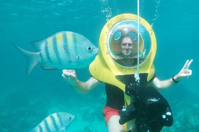 Scuba Doo Diving Experience in Punta Cana