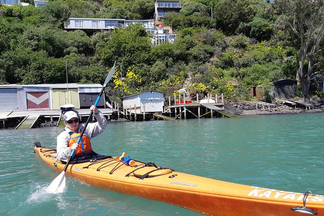 Sea Kayaking Christchurch, Lyttelton Harbour & Quail Island - Overview of the Tour