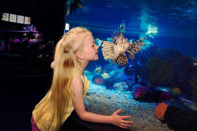 SEA LIFE Great Yarmouth General Admission