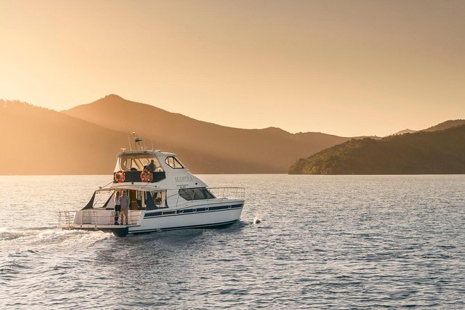 Seafood Odyssea Marlborough Sounds Cruise From Picton