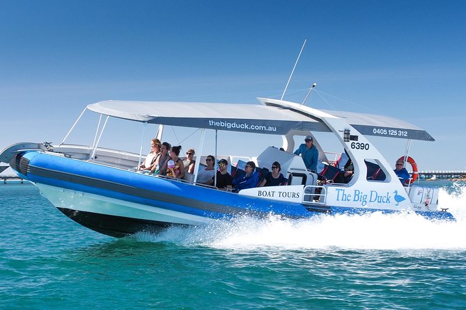 Seal Island Boat Tour From Victor Harbor