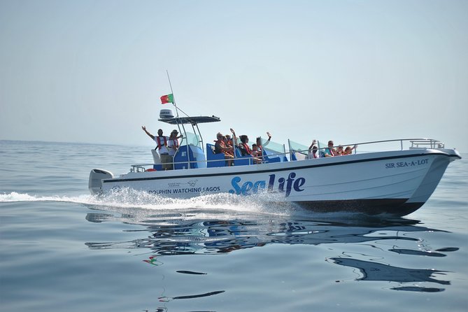 Sealife Sea Safari, Dolphin Watching With Marine Biologists Lagos - Reviews and Accolades