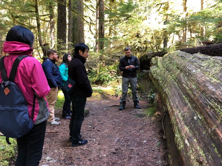 Seattle: Longmire in Mount Rainier Winter Day Tour