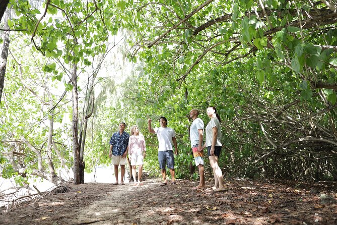 Secret Oahu Full Circle Island Tour With A Local Guide