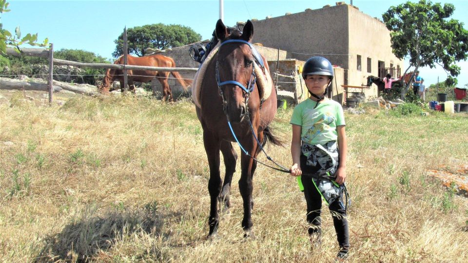 Sedini: Horseback Riding for Children Near Castelsardo - Overview of Horseback Riding