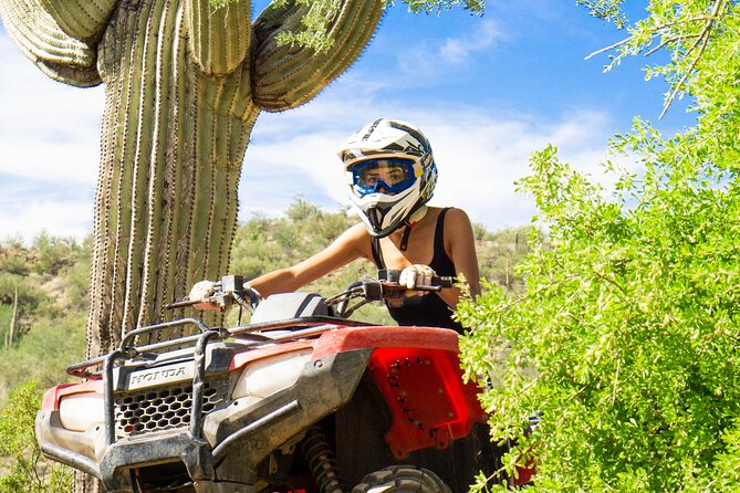 Self-Guided Centipede Desert ATV Rental