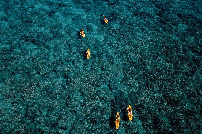 Self-Guided Kayaking Discovery in Kailua, Oahu - Overview of the Adventure