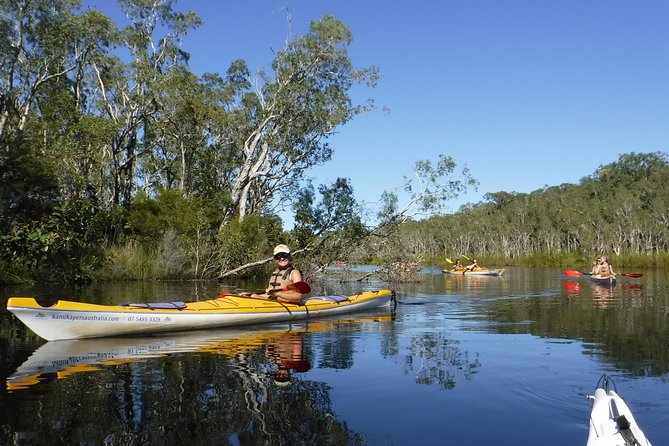 Self-Guided Noosa Everglades Kayak Tour