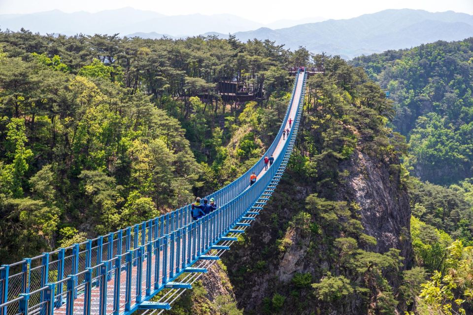 Seoul: Alpaca World, Luge Ride and Suspension Bridge